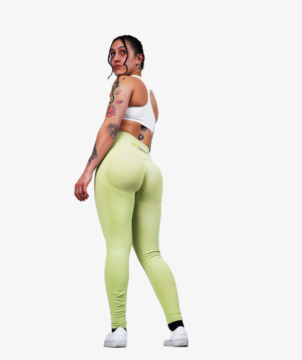 Athletic Clothing Brand, Active Wear, Gym Wear, And Sportswear Apparel